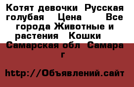 Котят девочки “Русская голубая“ › Цена ­ 0 - Все города Животные и растения » Кошки   . Самарская обл.,Самара г.